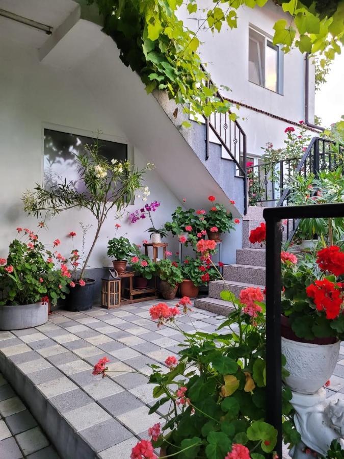 Vila Didi, Mangalia Luaran gambar