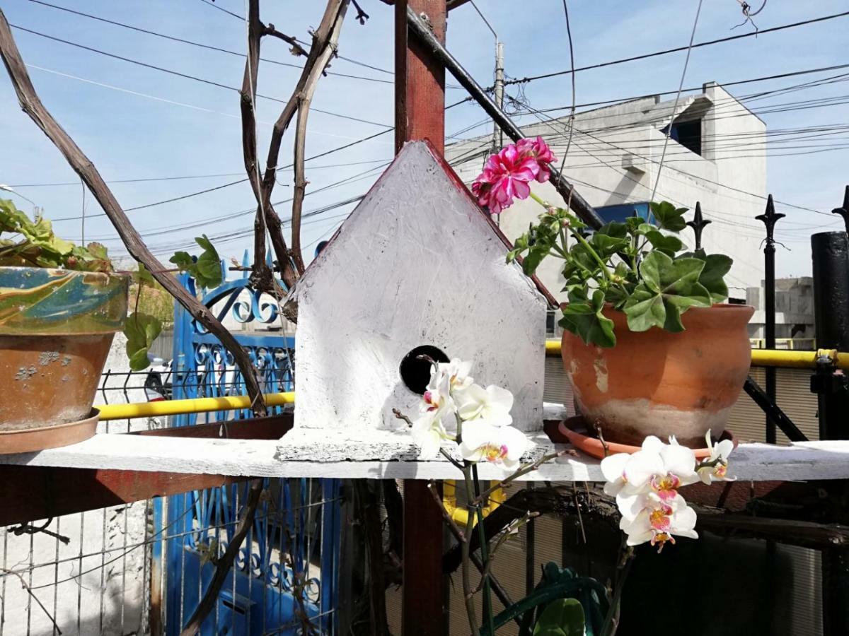 Vila Didi, Mangalia Luaran gambar